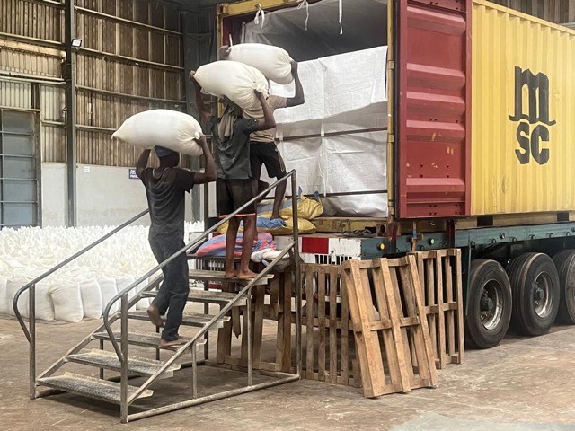 Packing & Export